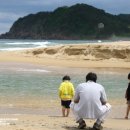 진부령 목장 이미지