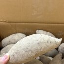 도사리 여주 꿀 농장 | 여주고구마 꿀고구마5KG 홈메이드 고구마라떼 후기