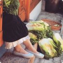 김치만선생 이미지