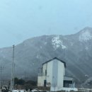 포도밭 옆 펜션 네이버블로그