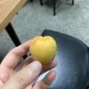 운문식당 | 대구 노포 삼겹살 맛집 김치에 진심인 운문식당 후기!