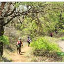 느림보강물길 이미지