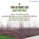 함평이야기 이미지