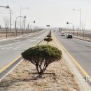 내포제2진입도로 이미지