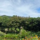 설천면110 네이버블로그