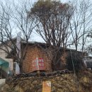 지리산다래랑민박 이미지