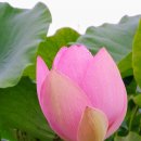 삼주공인중개사사무소 이미지