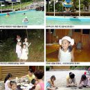 속리산 휴양림 다녀왔습니다.