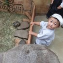 로우닝