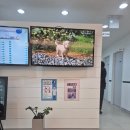 청명약국 | 영통 청명 황골마을 아기 감기 병원, 수이비인후과 방문 후기