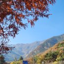 금오산(칼다봉)_숲길(등산)1코스 | 100대명산 단풍구경 구미 금오산 등산코스추천 시간 지도 정보 및 후기