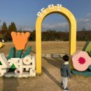 가을 숲으로 놀러가자 이미지