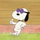 인사혁신처 버스정류장 | 2020 국가직 9급 공무원 간단한 면접 후기 (과천 공무원인재개발원 오후)