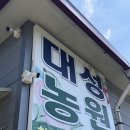 도원농원 | 복숭아 가질 수 없다면 여름휴가를 바치겠어 [꽃밭머리농원, 대성농원, 여름애팜]