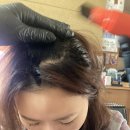 [탈모커버 두피염색후기] 홈케어로 두피커버와 케어를 동시에?!큐블랙 탈모커버