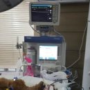 한라동물병원 이미지