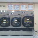 죽도세탁 이미지