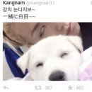 스시니토