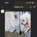 어여쁘개 이미지