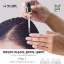 메인에스디