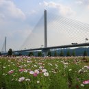 한강시민공원(화훼단지) 이미지