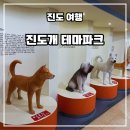 영민농장 | 진도 여행 코스 진도개 테마파크-진도개 스포츠 공연과 동물 먹이 체험을 할 수 있는 진도 아이와 갈 만...