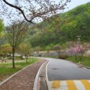 연인산다목적캠핑장 이미지