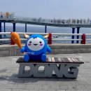 그물에걸린바다풍경 | 동해 묵호 당일치기 여행 코스 도째비골 스카이밸리부터 어달항까지 뚜벅이 코스 솔직후기