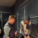 평창강힐링하우스 | 평창강 힐링하우스 펜션, 있는 곳에서 건강하게, 평창 숙소 추천