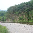 비발디 캠핑파크