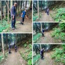 숲속골프 이미지