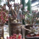 양재농장 이미지