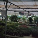 미르농장 이미지