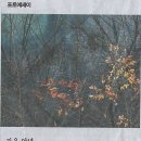 신대초등학교 이미지
