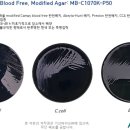A0721 네이버블로그