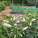 태농농장 이미지