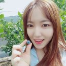 열린농원