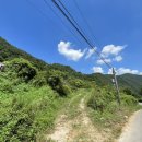 신선왕선 이미지