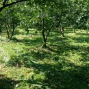 수지농장 이미지