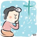 로뎀나무 이미지