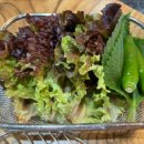 장터삼겹살 이미지