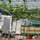 두리농장 이미지