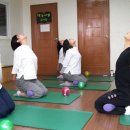 몸살림운동 이미지