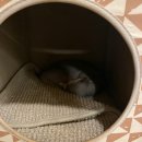 순복농장 이미지