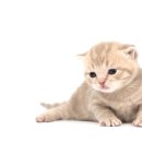 박경훈한의원 이미지