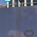 월드용인대석사태권도 이미지