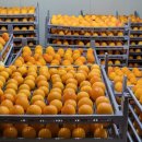 진공농장 이미지