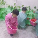 다민농장 이미지