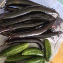 가지 방금 땄어요🍆조선오이 이미지