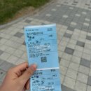 중흥리경로당 | [국내여행] 5월의 완도 청산도